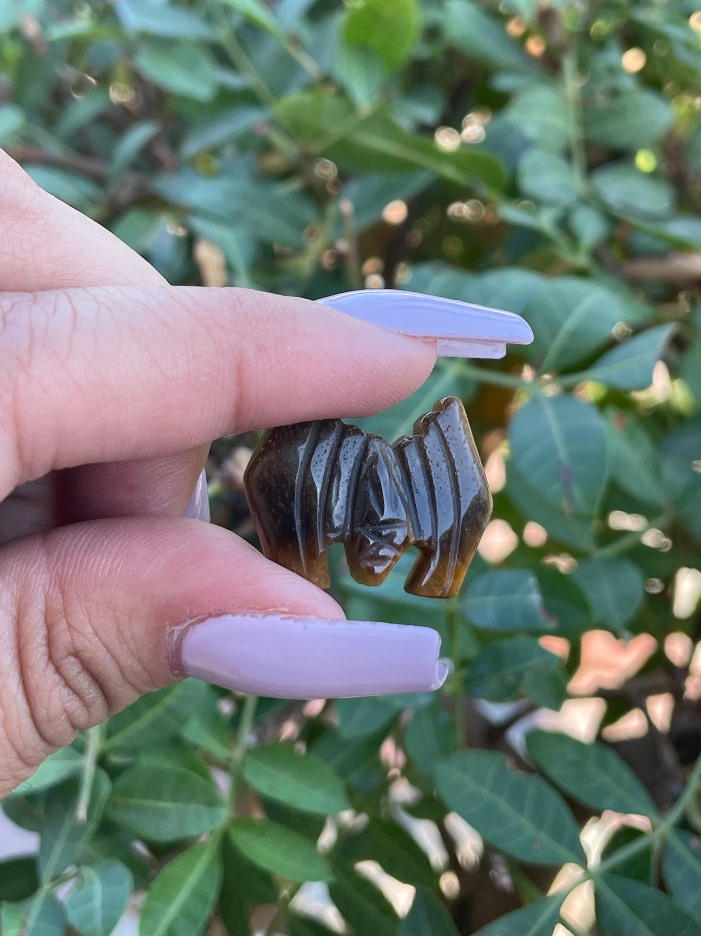 Bat - Obsidian / Tiger Eye
