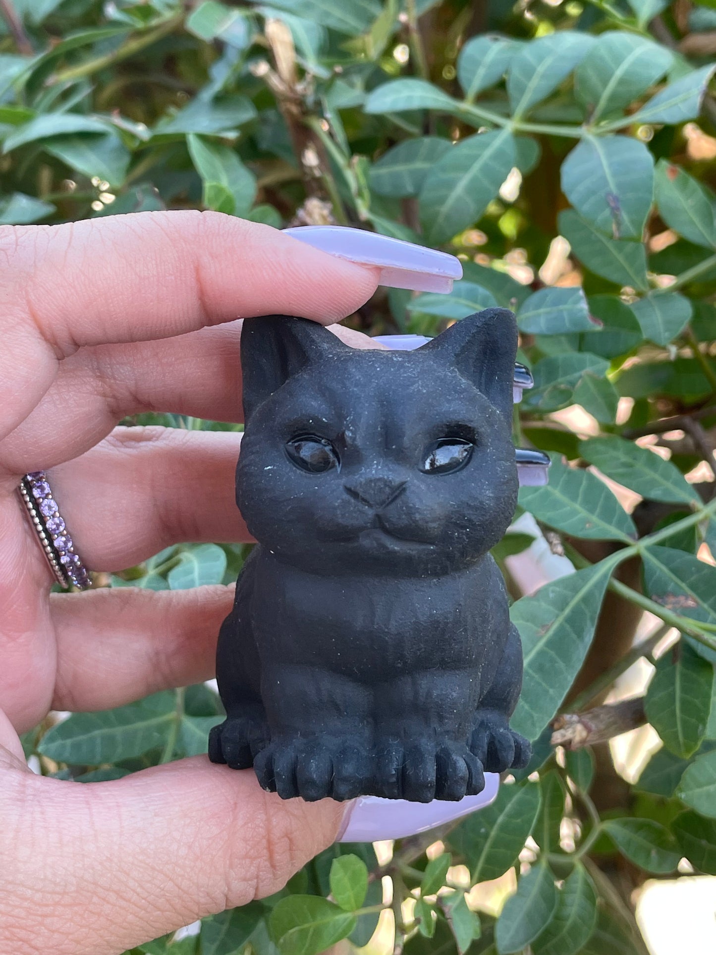 Obsidian Cat