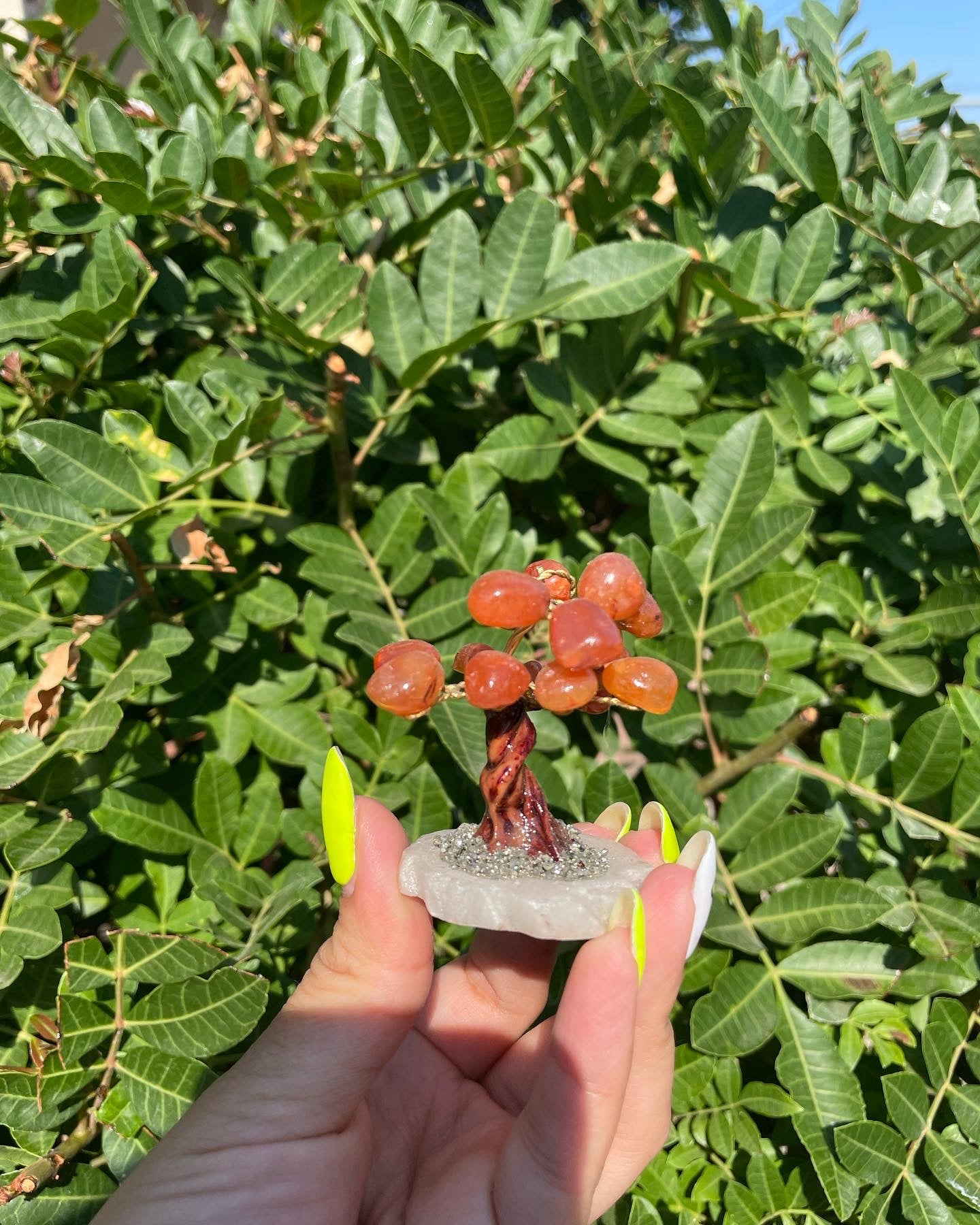 3” Crystal Carnelian Money Tree