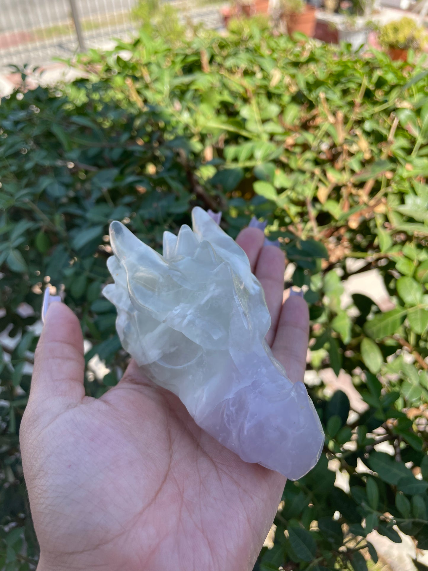 Lavender Fluorite Dragon Head