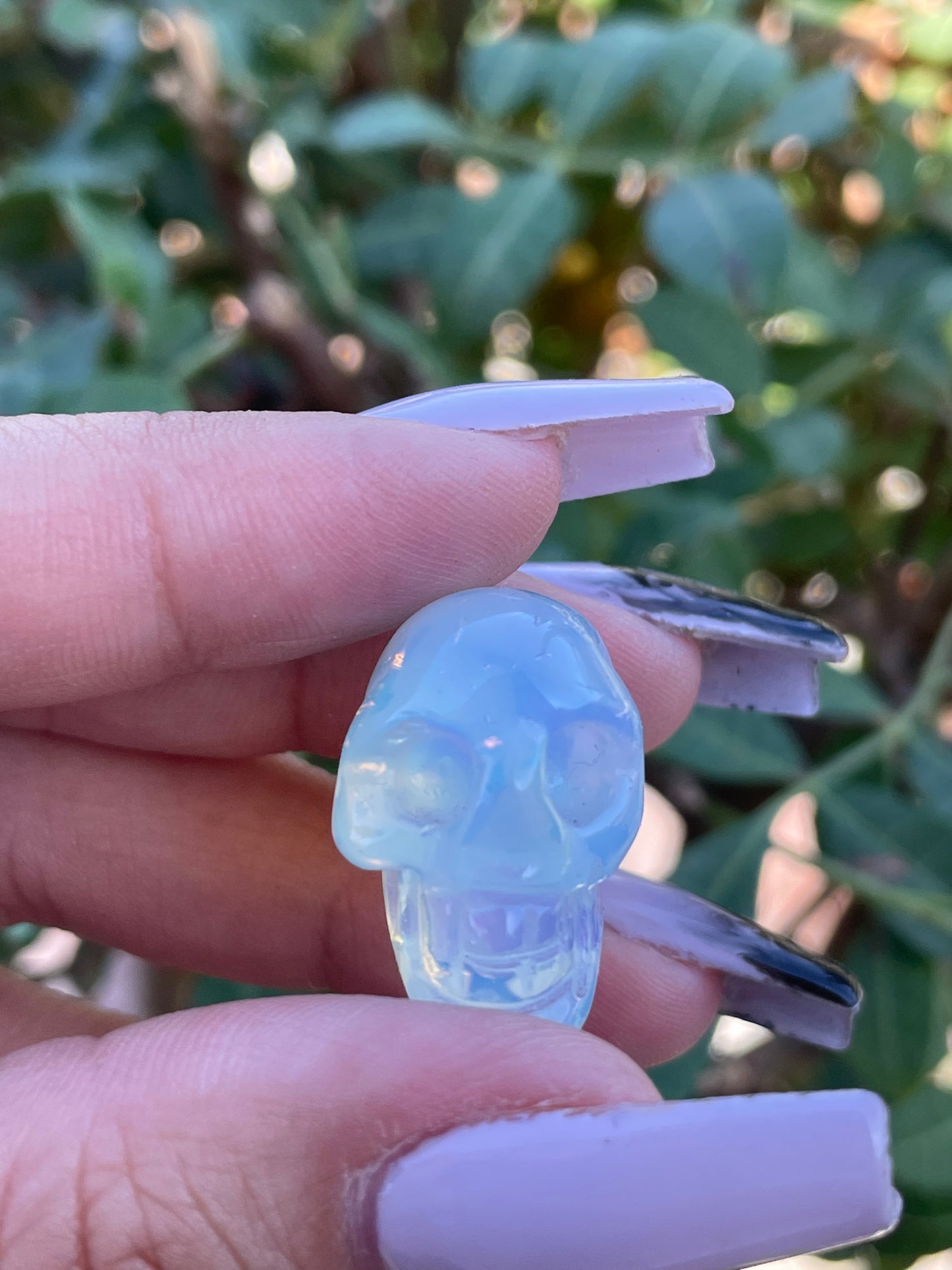Opalite Skull