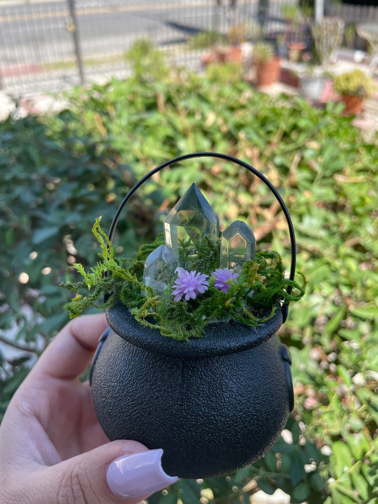 Cauldron Garden Crystals Green Quartz and Clear Quartz