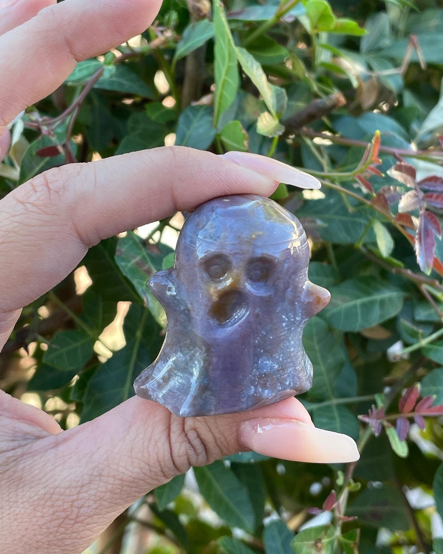 Ocean Jasper Ghost