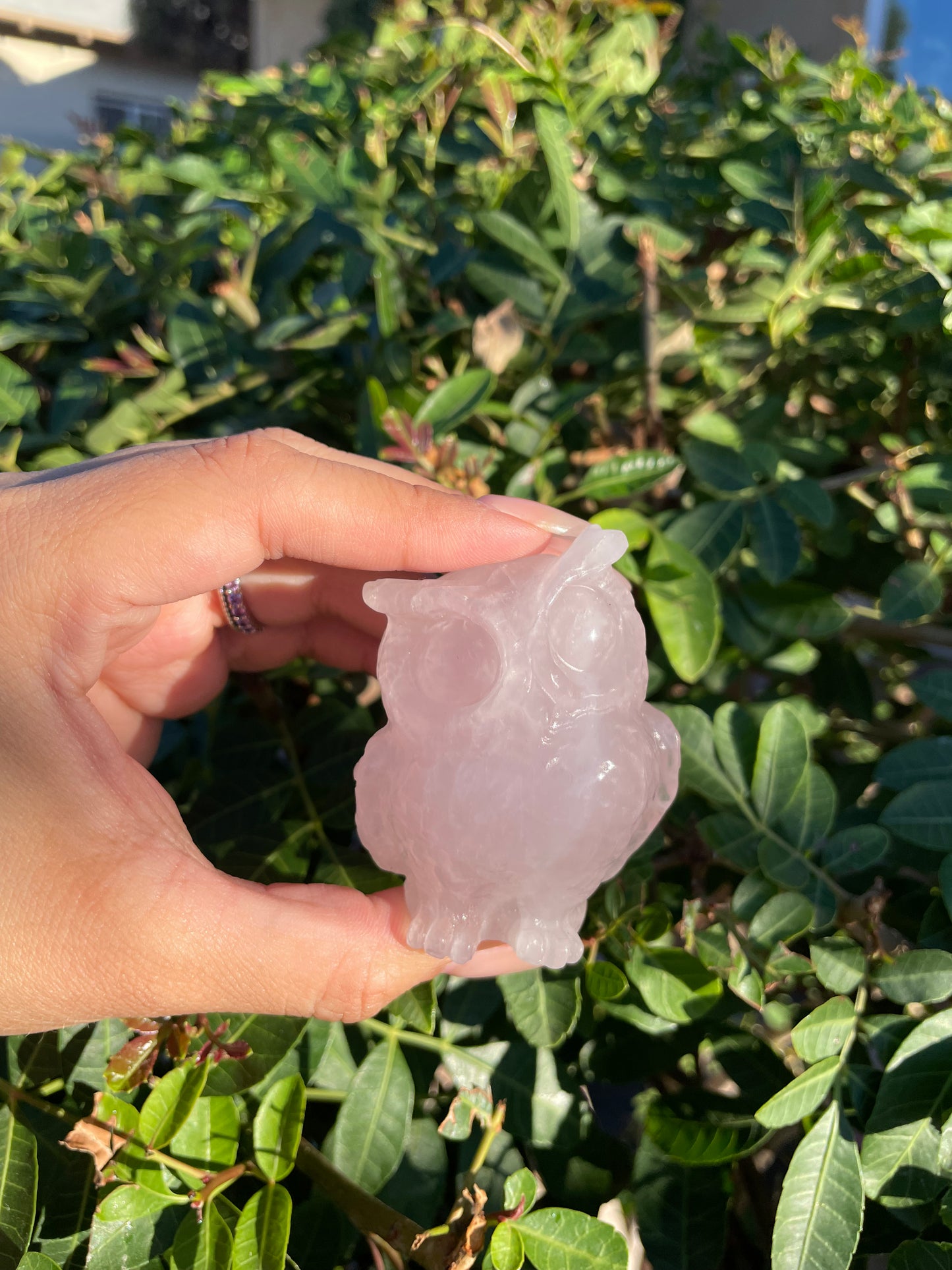 Rose Quartz Owl Carving