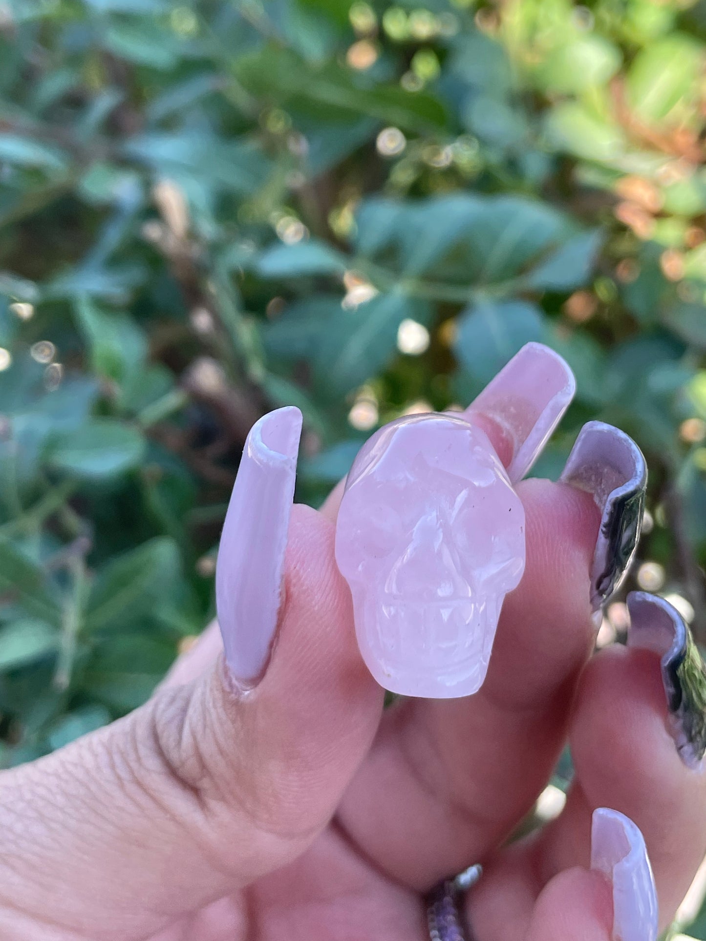 Rose Quartz Skull
