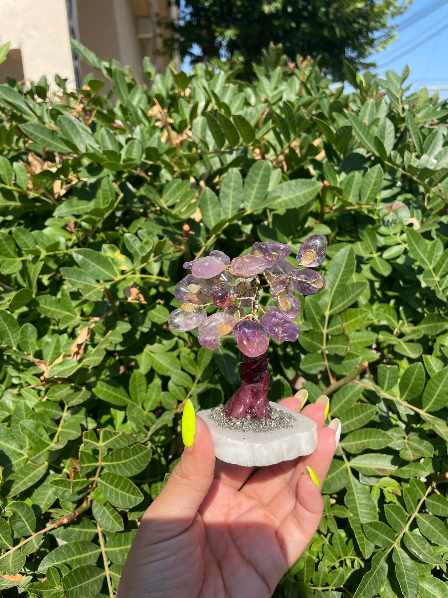 5” Amethyst Crystal Tree