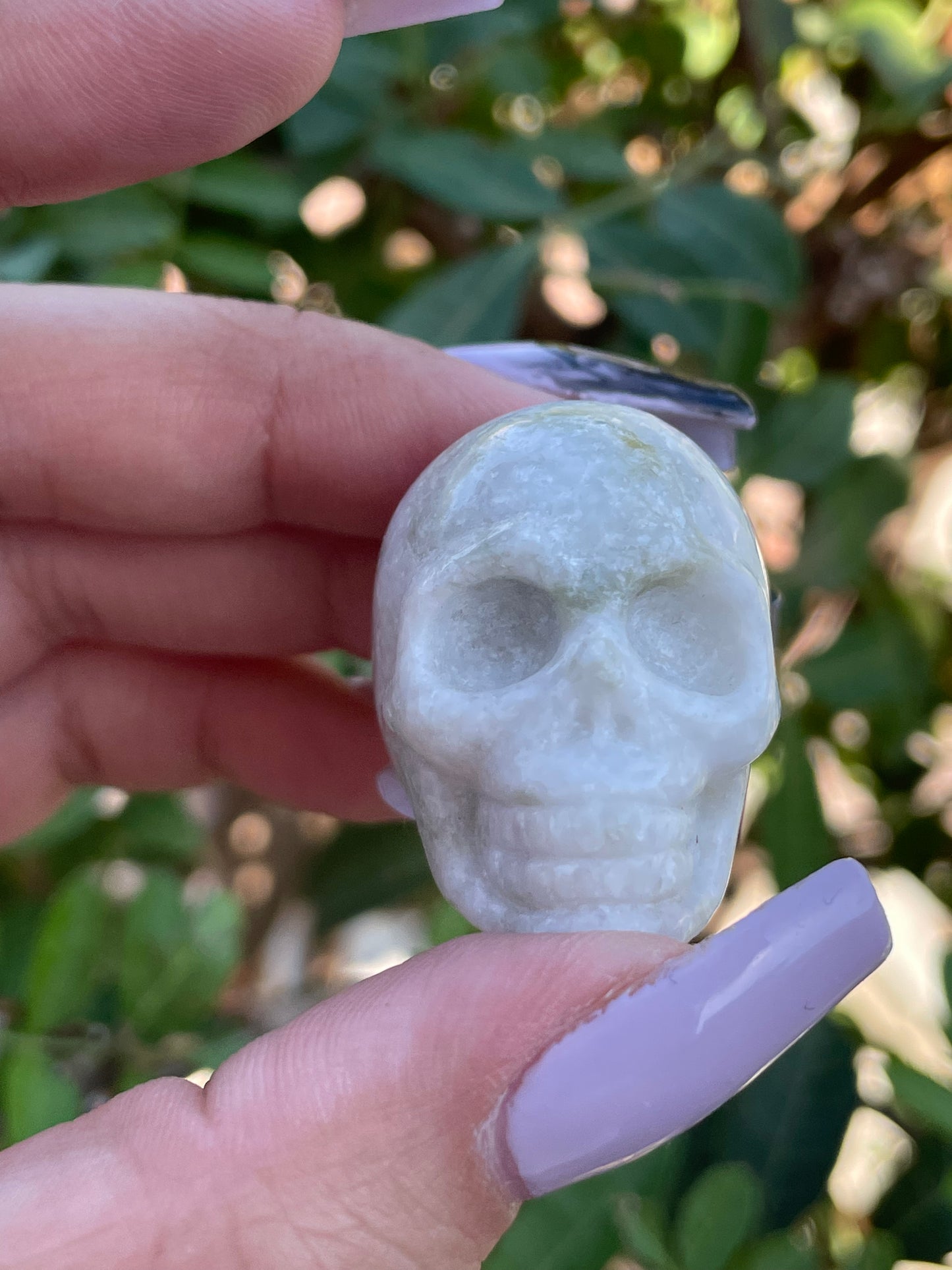 New Jade Skull