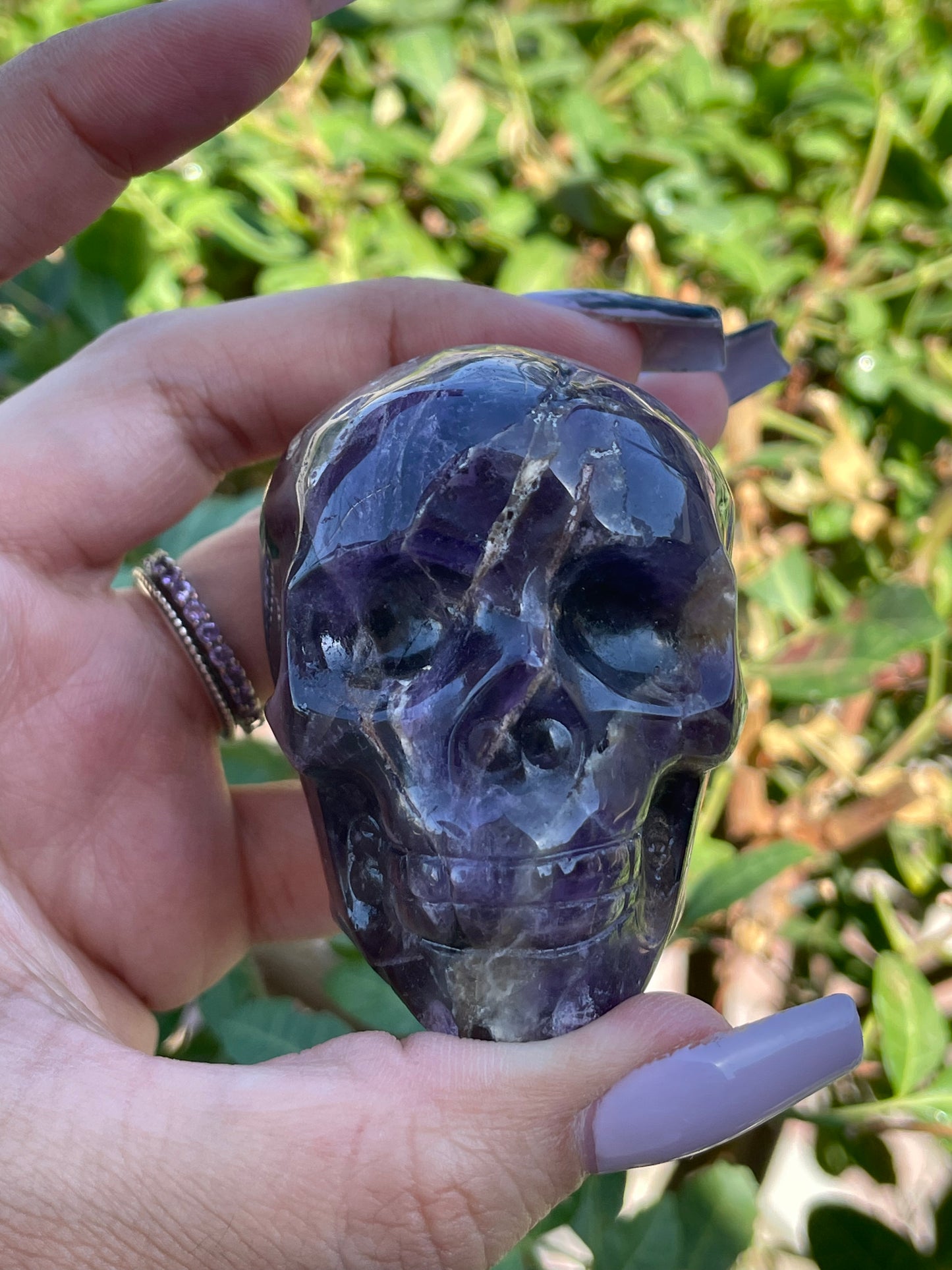Dream Amethyst Skull